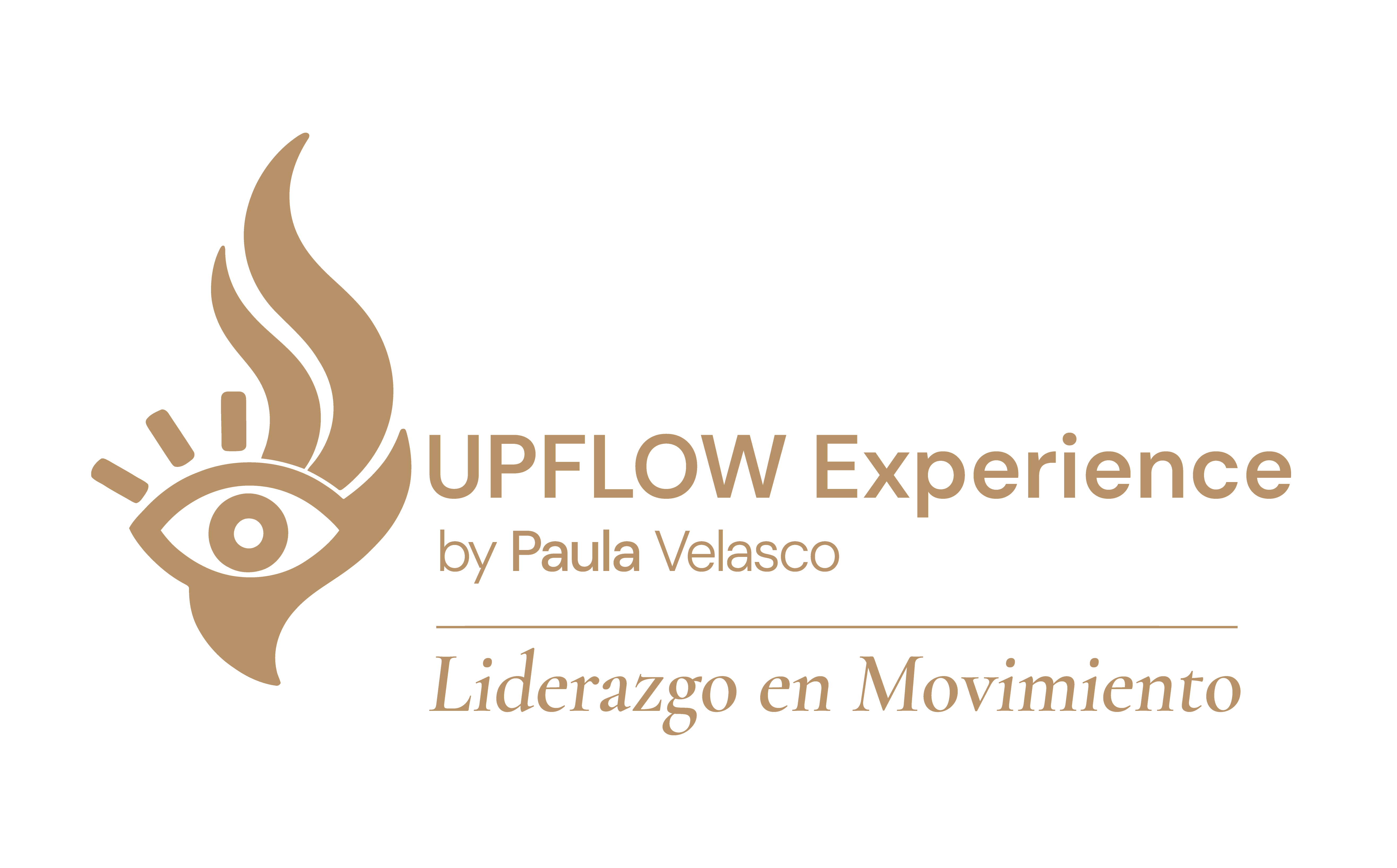 Upflow Experience — by Paula Velasco